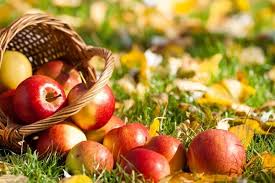 Конкурс кулинарного мастерства «Яблочком угостись» в рамках праздничного мероприятия «Яблочный Спас»