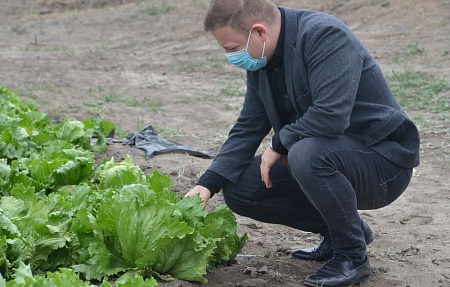 Министр сельского хозяйства Астраханской области Руслан Пашаев осмотрел ряд сельхозпредприятий