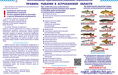Правила рыбалки в Астраханской области