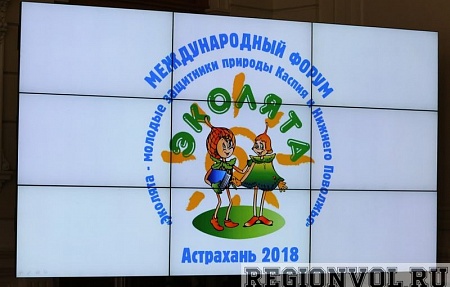 Сергей Морозов вручил дипломы юным астраханским спасателям рыбы